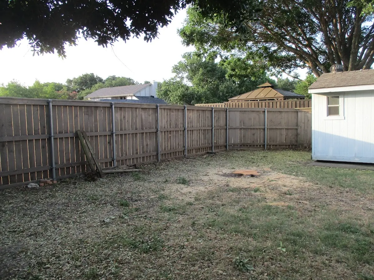 Cleared yard after professional tree removal in Buckley